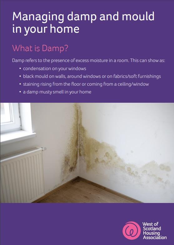 Damp and Mould leaflet Sep 23 front cover image