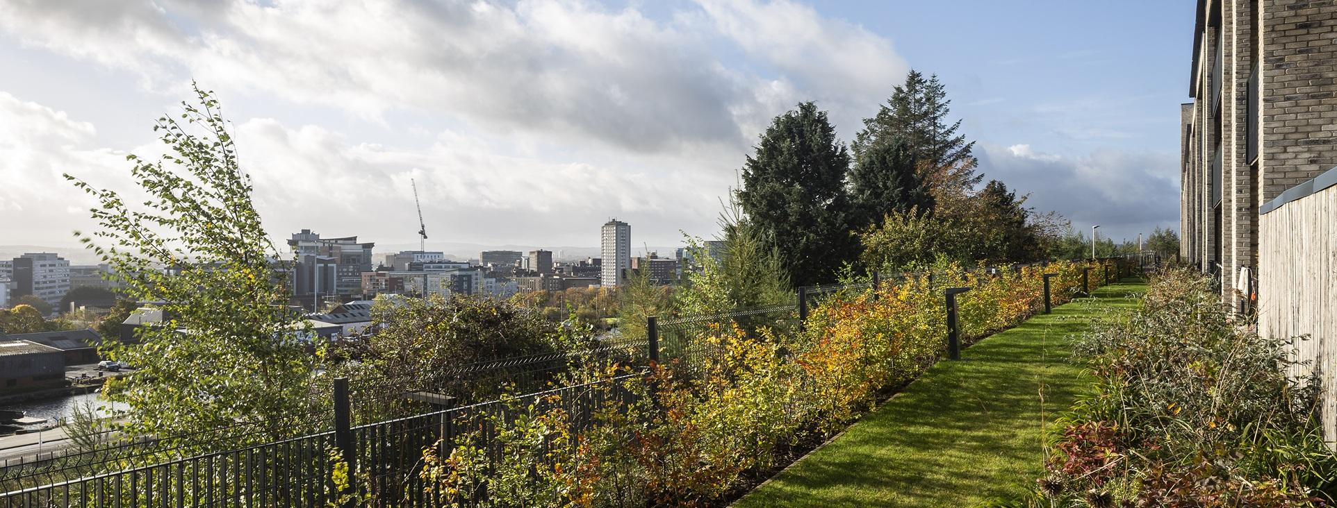 Paying your rent Rents & Benefits Welfare Rights Team